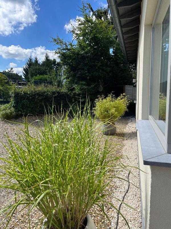 Loeftchen Villa Roetgen Exterior photo